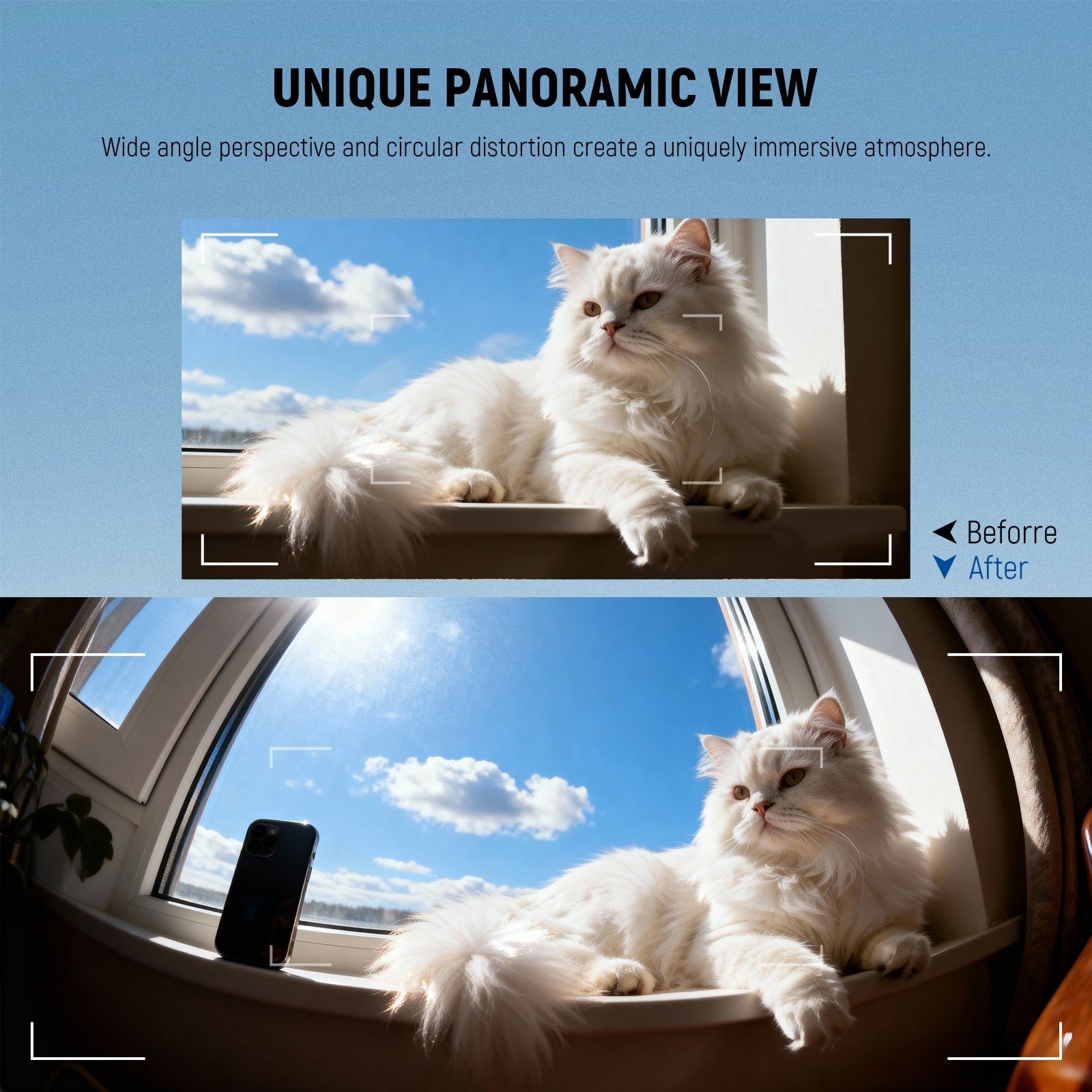 wide angle perspective and circular distortion adding a distinctive, immersive atmosphere