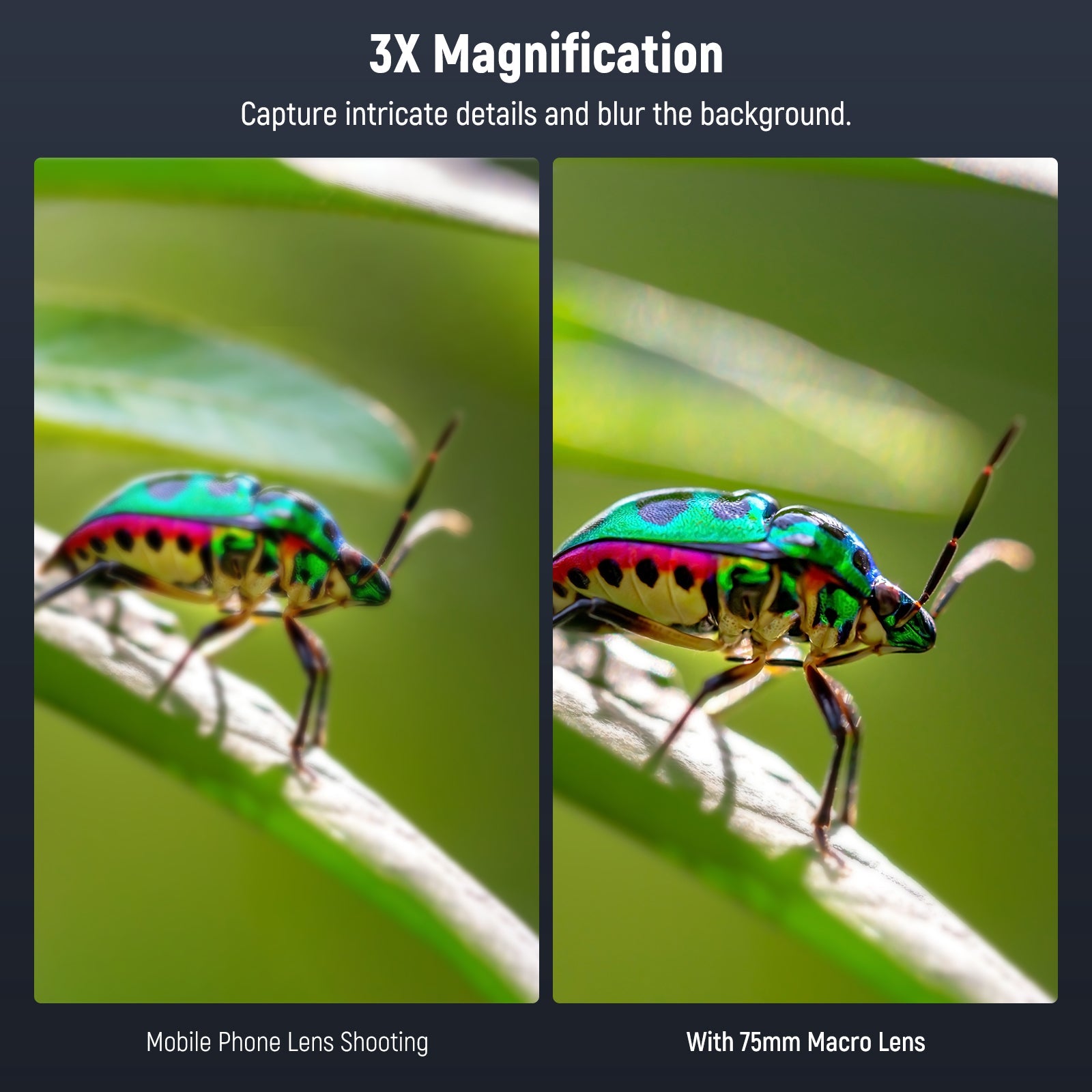 This 75mm macro lens helps capture intricate details and blur the background.