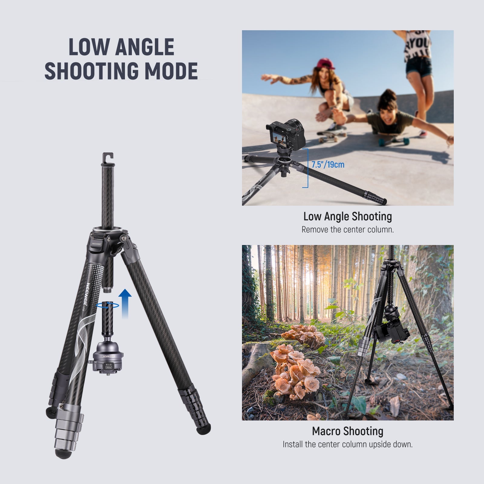NEEWER LT32 62
